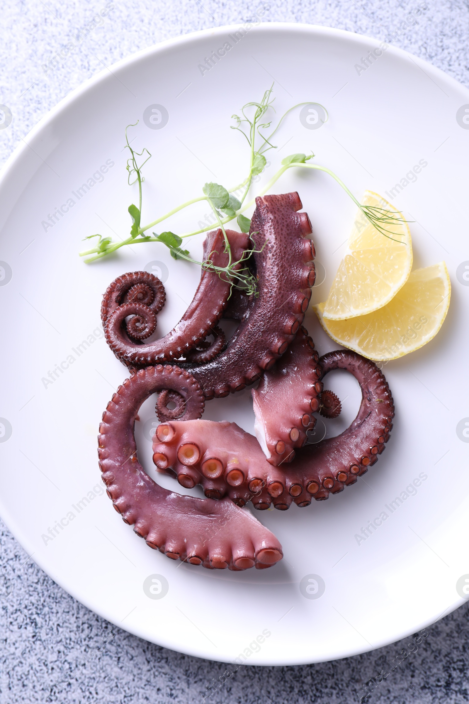 Photo of Appetizing octopus tentacles on grey table, top view