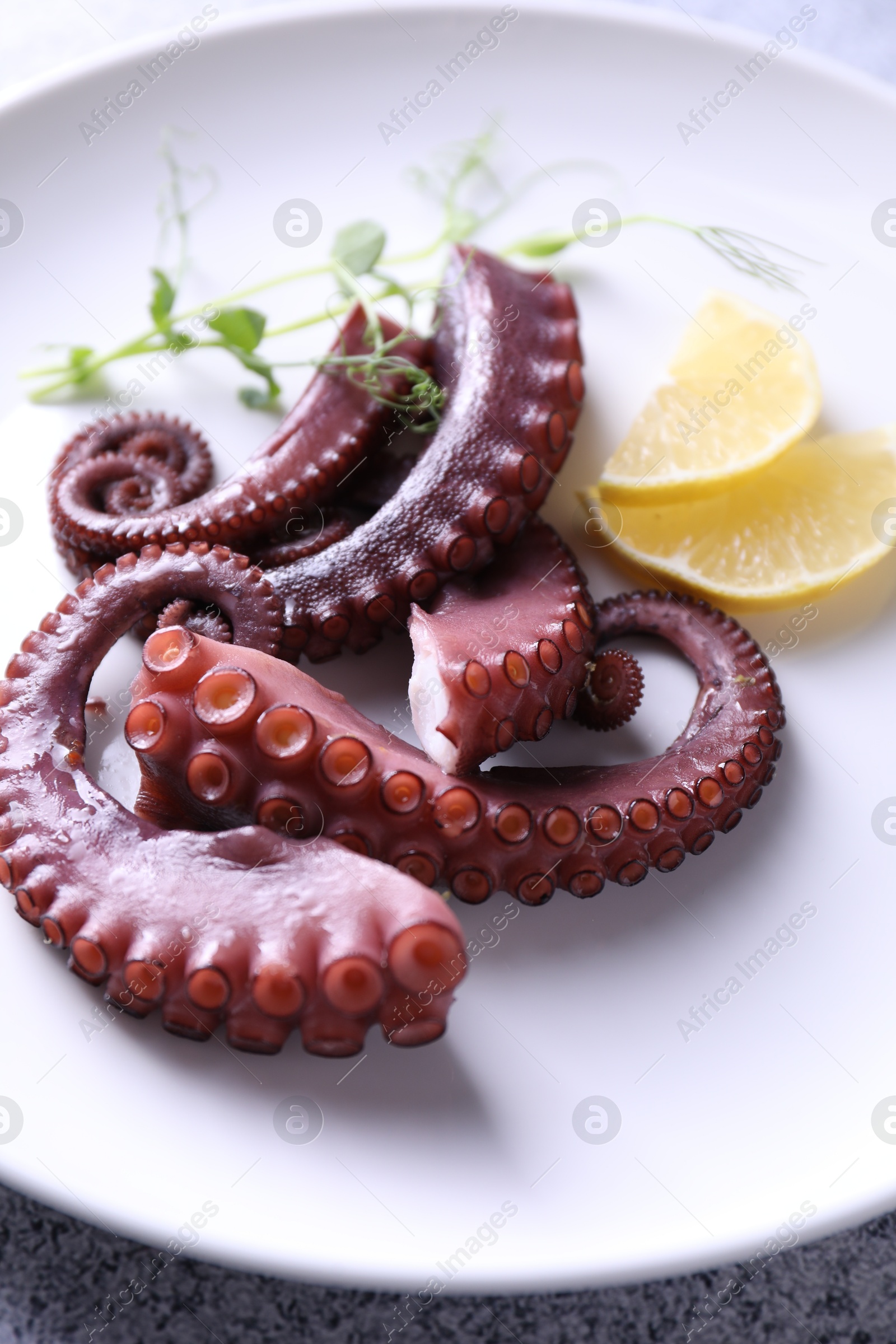 Photo of Appetizing octopus tentacles on grey table, closeup