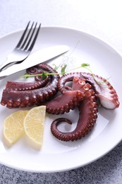 Photo of Appetizing octopus tentacles served on grey table, closeup