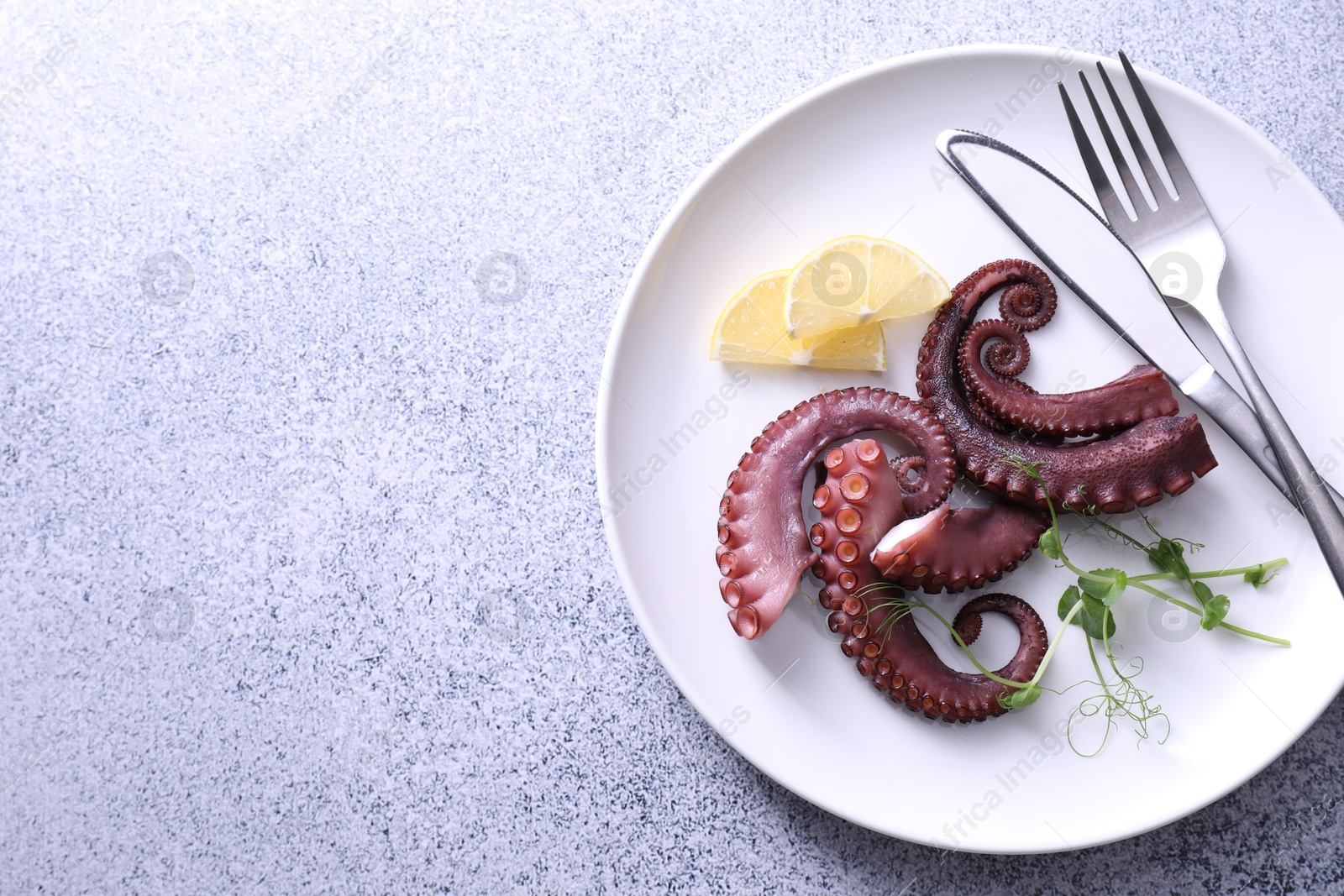 Photo of Appetizing octopus tentacles served on grey table, top view. Space for text