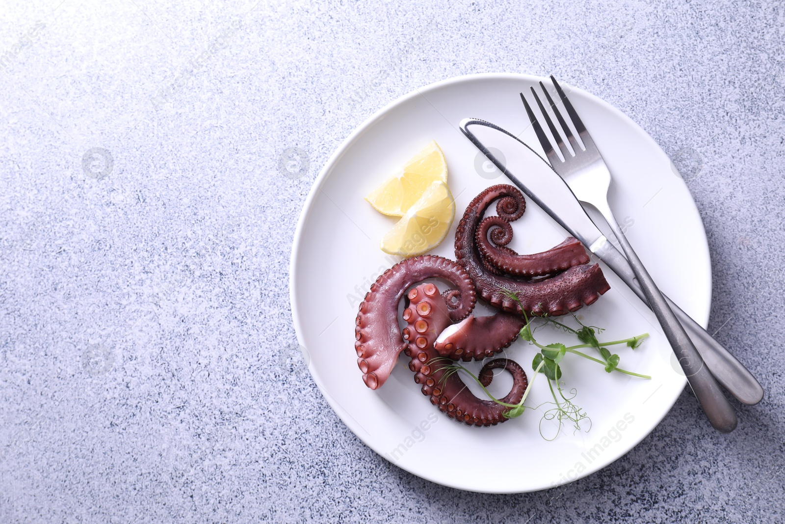 Photo of Appetizing octopus tentacles served on grey table, top view. Space for text