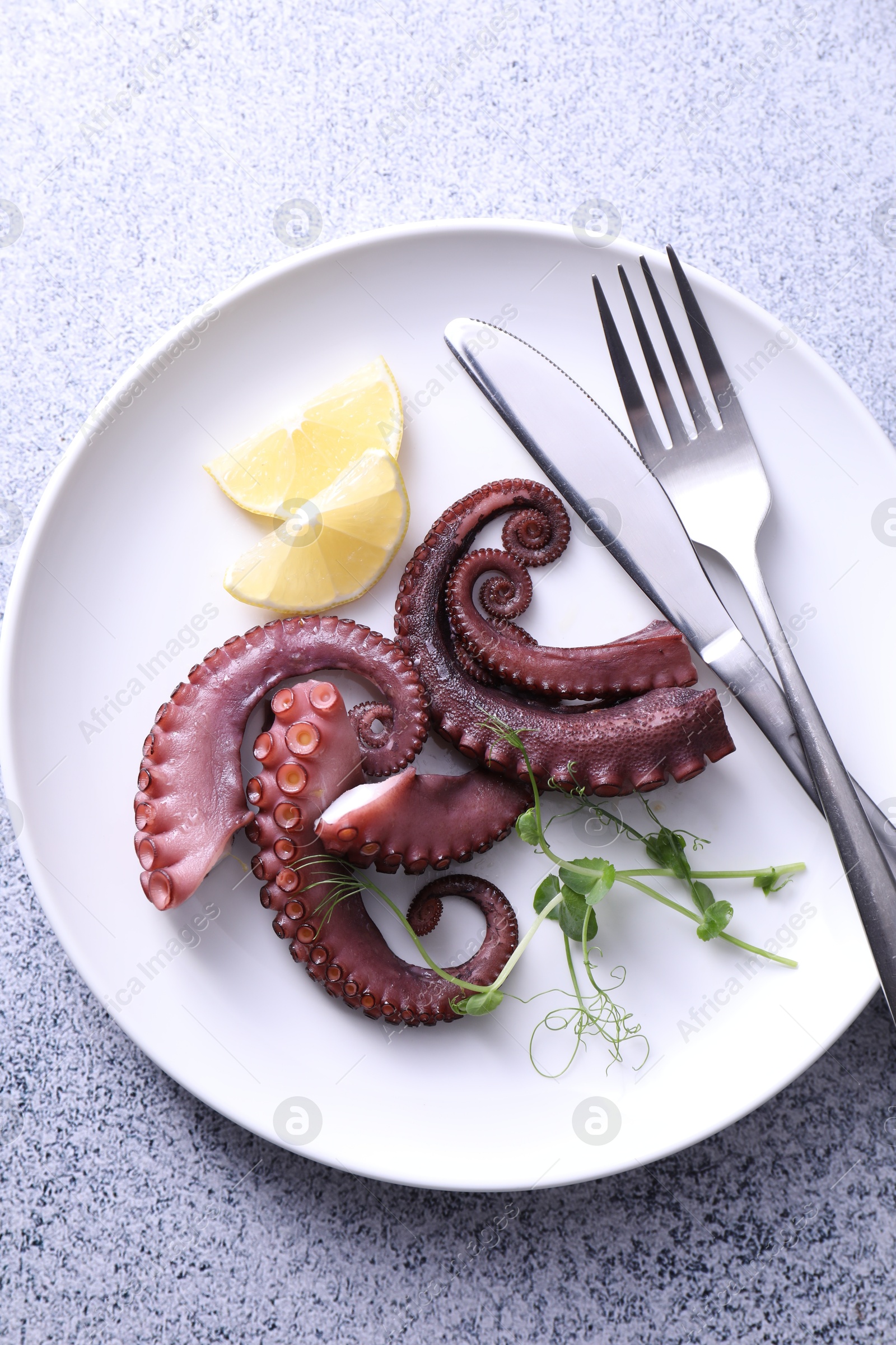 Photo of Appetizing octopus tentacles served on grey table, top view