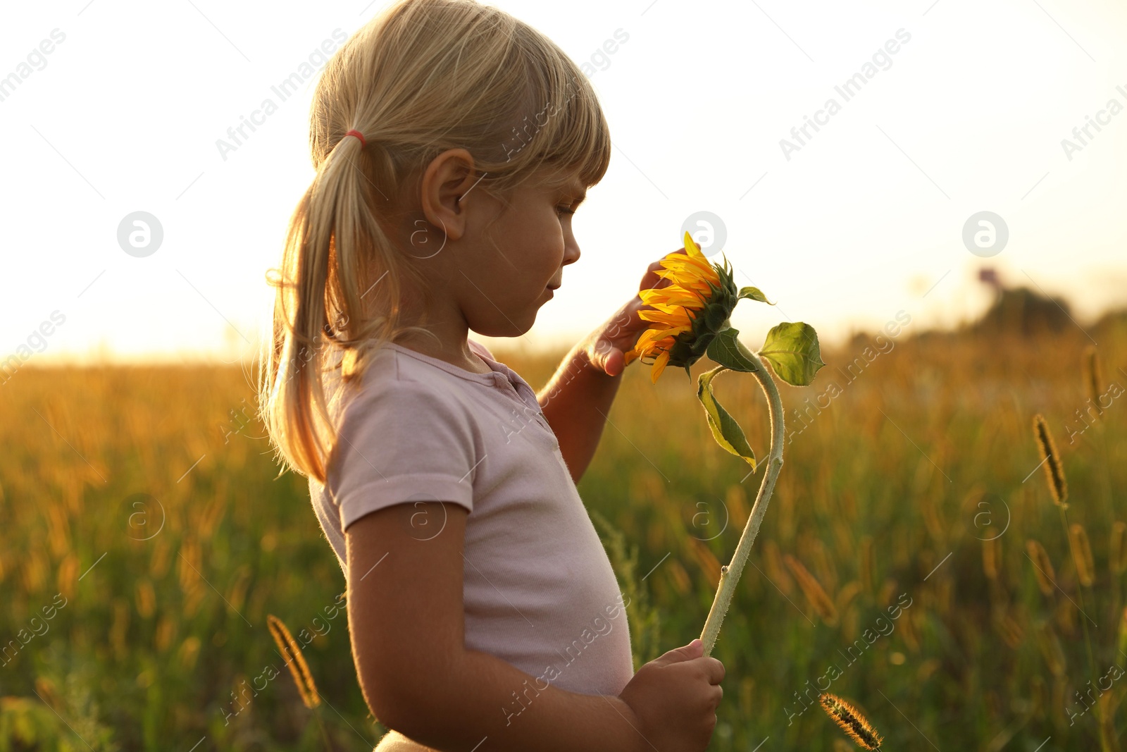 Photo of Cute little girl with sunflower at meadow. Child enjoying beautiful nature