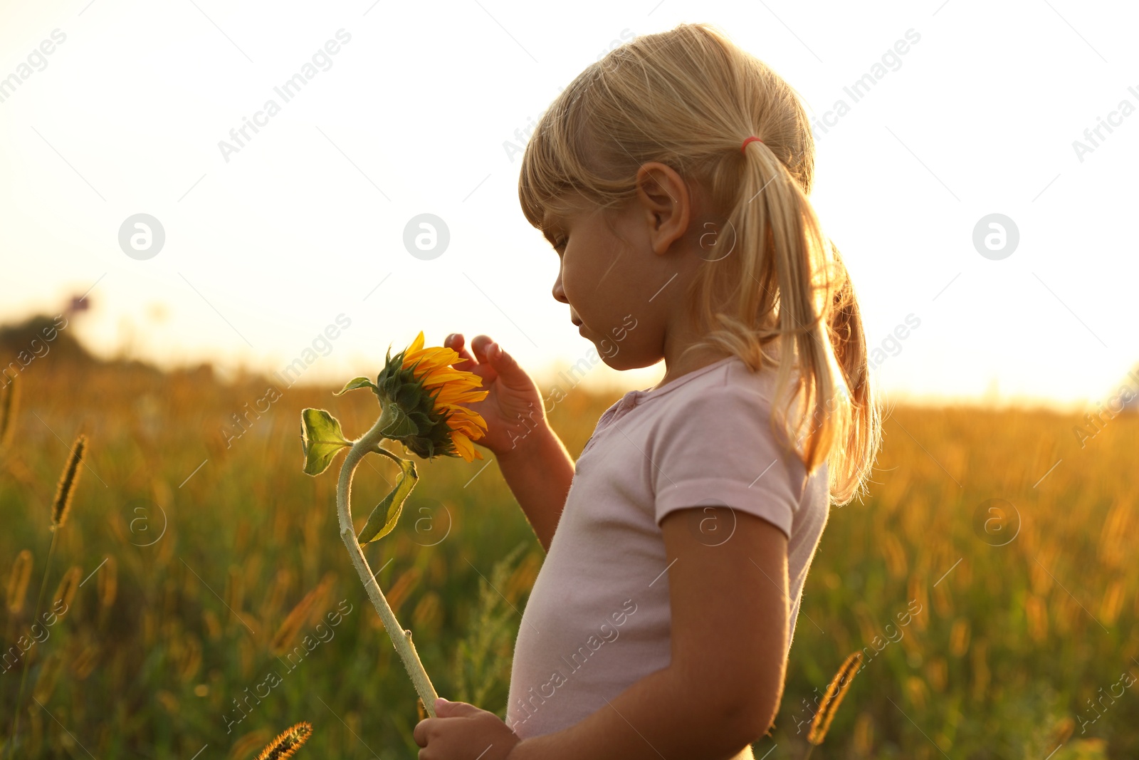 Photo of Cute little girl with sunflower at meadow. Child enjoying beautiful nature