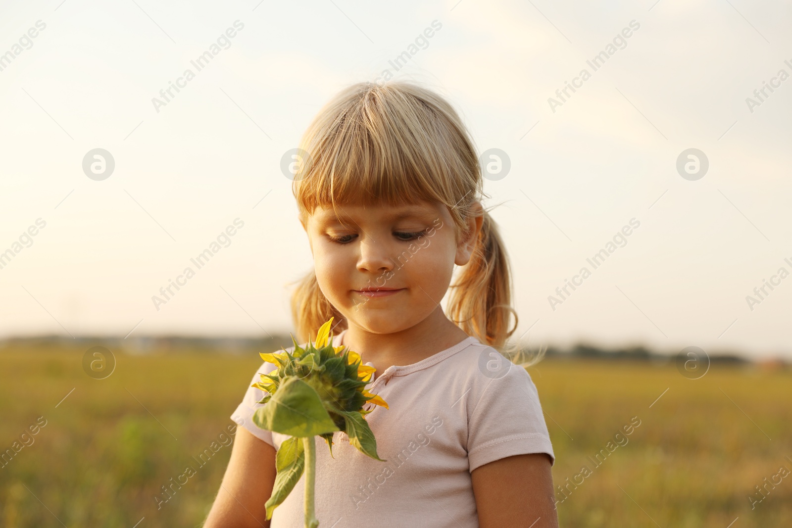 Photo of Cute little girl with sunflower at meadow. Child enjoying beautiful nature