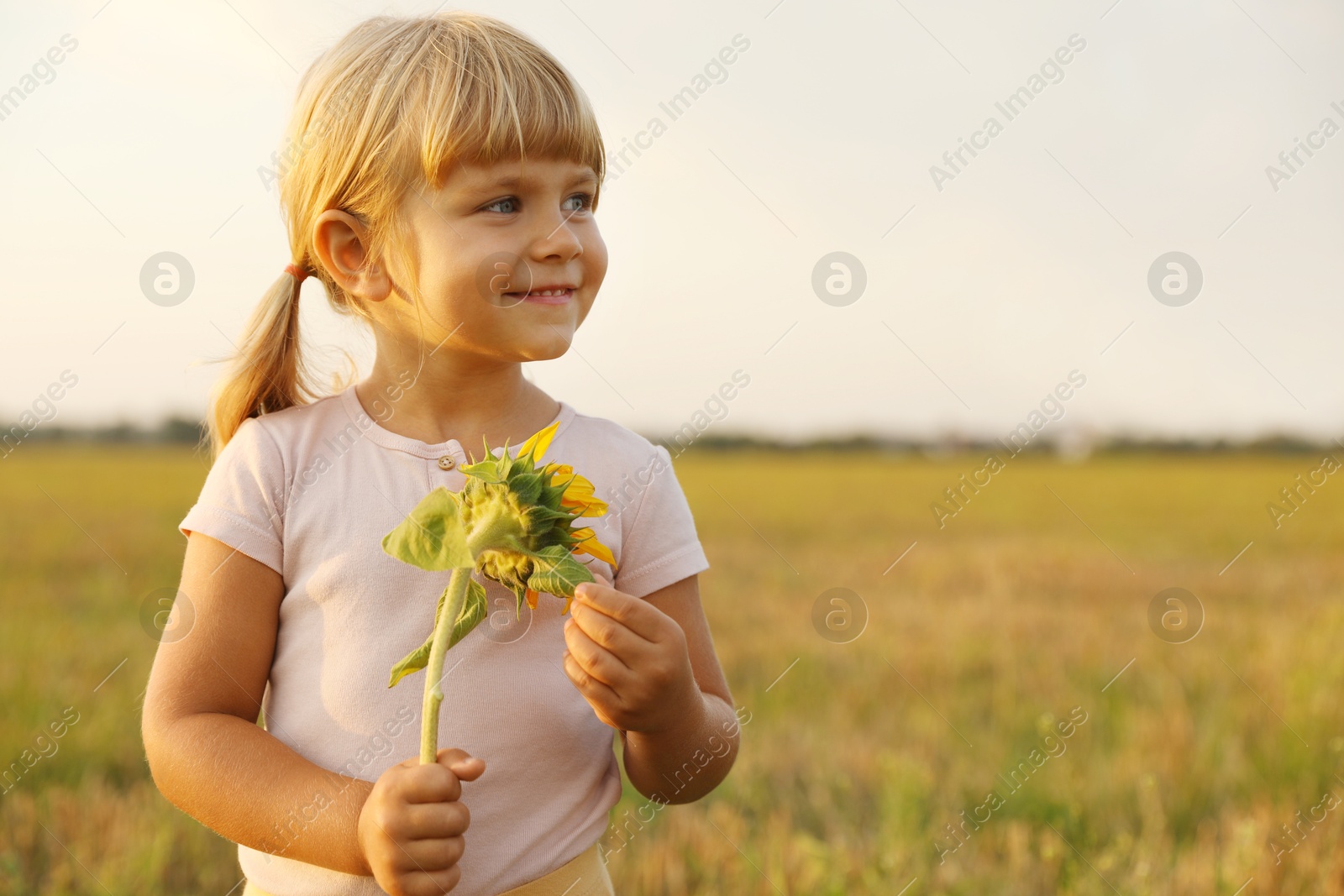 Photo of Cute little girl with sunflower at meadow. Child enjoying beautiful nature