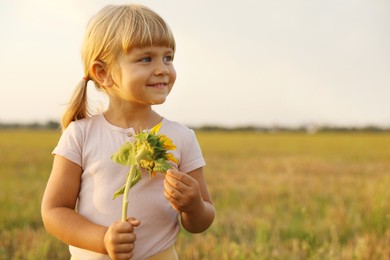 Cute little girl with sunflower at meadow. Child enjoying beautiful nature