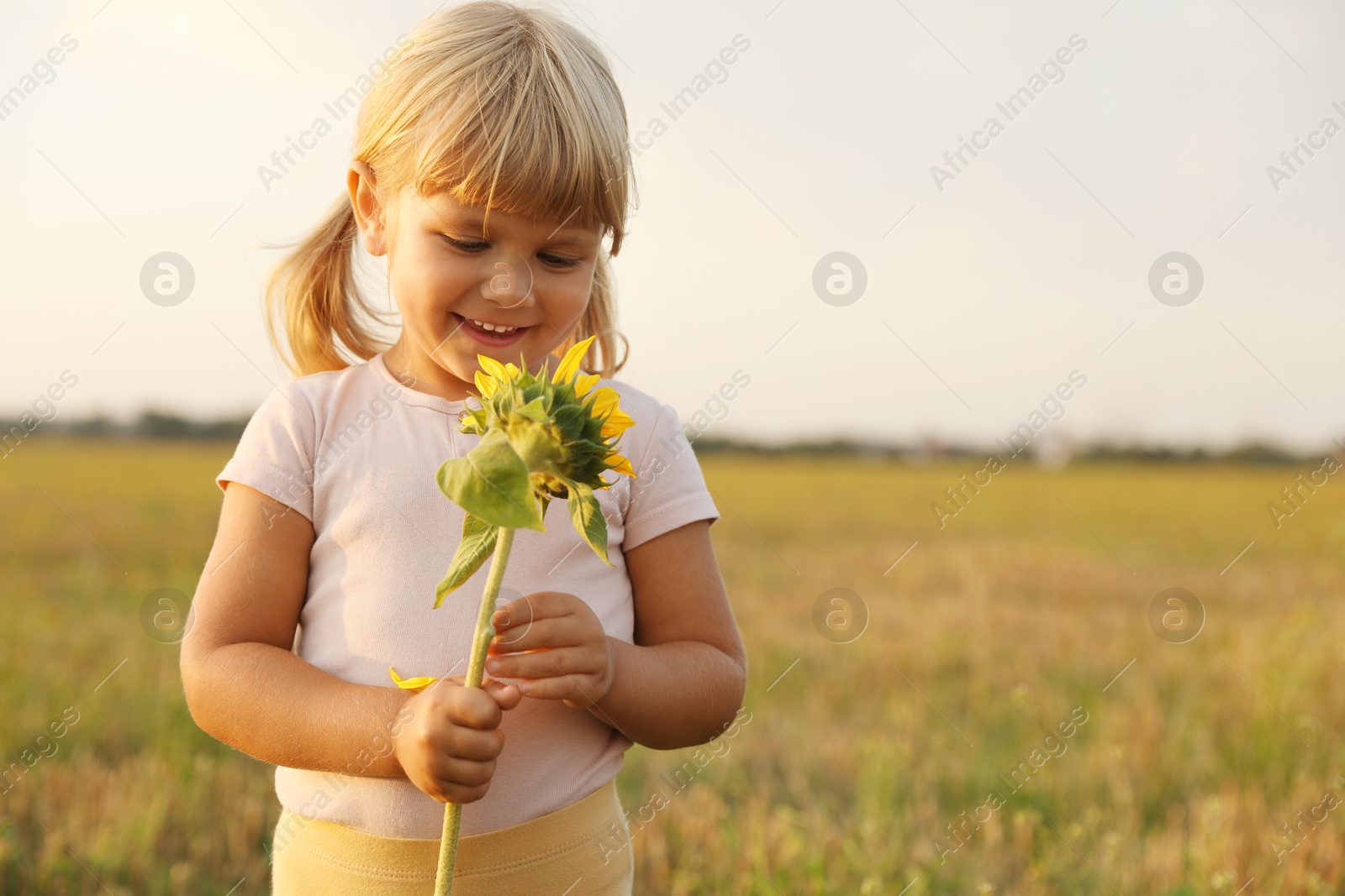 Photo of Cute little girl with sunflower at meadow. Child enjoying beautiful nature