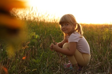 Photo of Cute little girl picking dry plants at meadow. Child enjoying beautiful nature