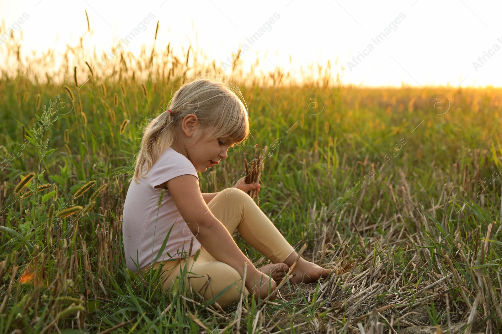 Photo of Cute little girl picking dry plants at meadow. Child enjoying beautiful nature