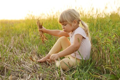 Photo of Cute little girl picking dry plants at meadow. Child enjoying beautiful nature