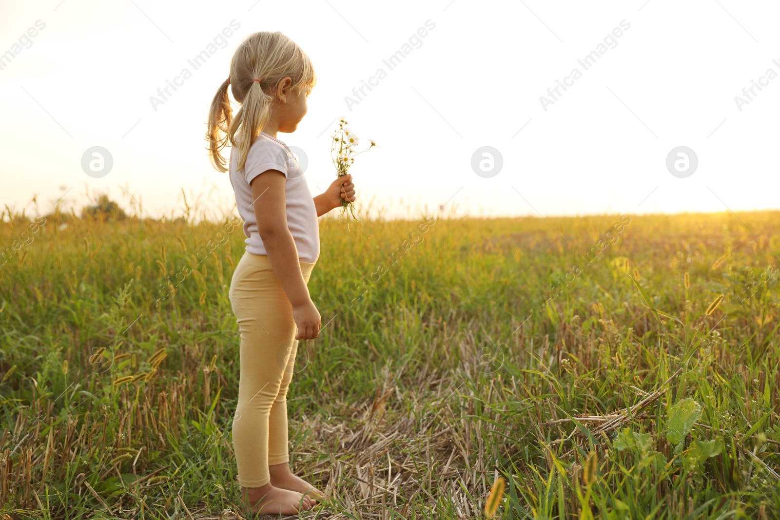 Photo of Cute little girl with chamomiles at meadow, space for text. Child enjoying beautiful nature