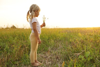 Photo of Cute little girl with chamomiles at meadow, space for text. Child enjoying beautiful nature