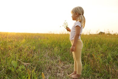 Photo of Cute little girl with chamomiles at meadow, space for text. Child enjoying beautiful nature