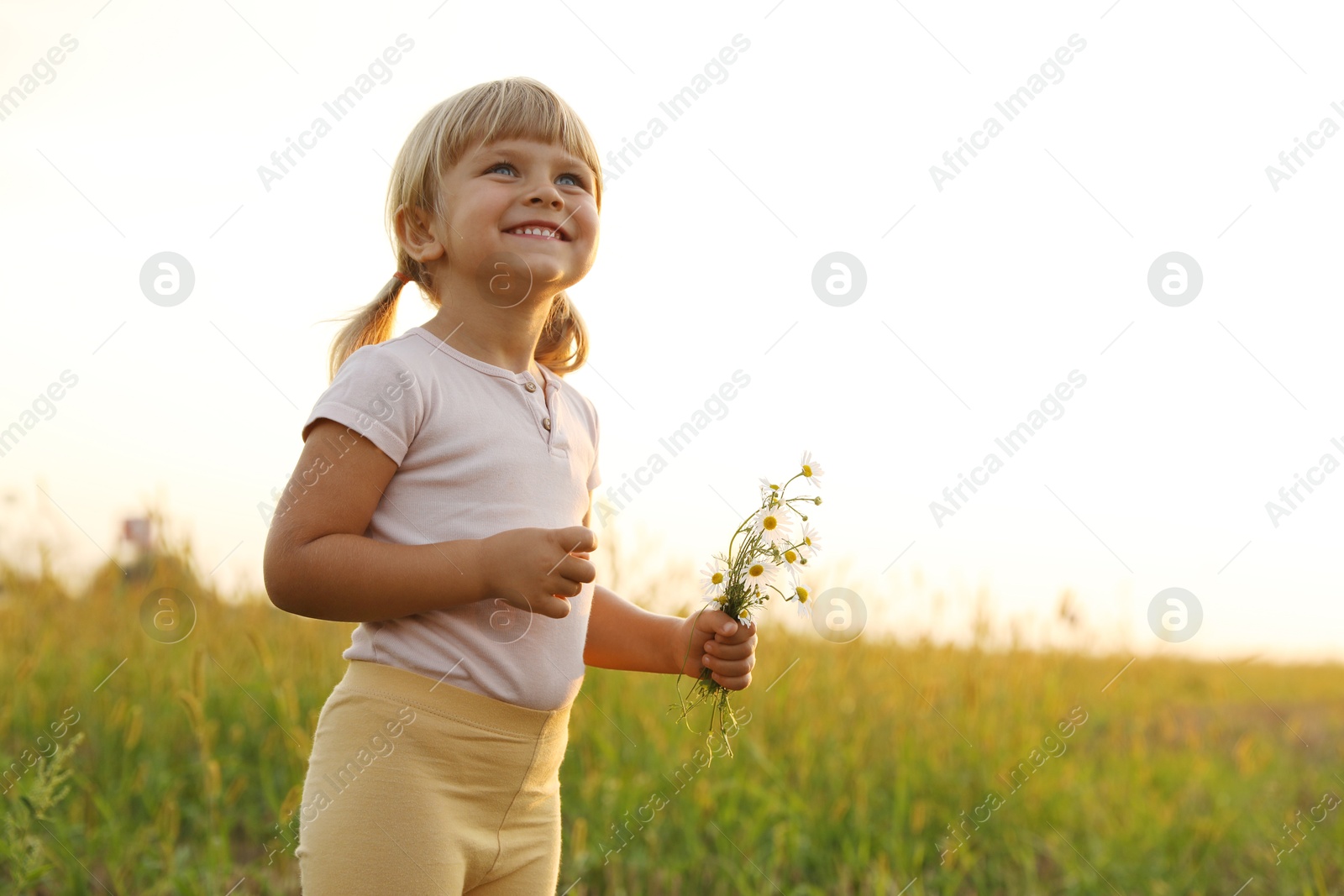 Photo of Cute little girl with chamomiles at meadow, space for text. Child enjoying beautiful nature