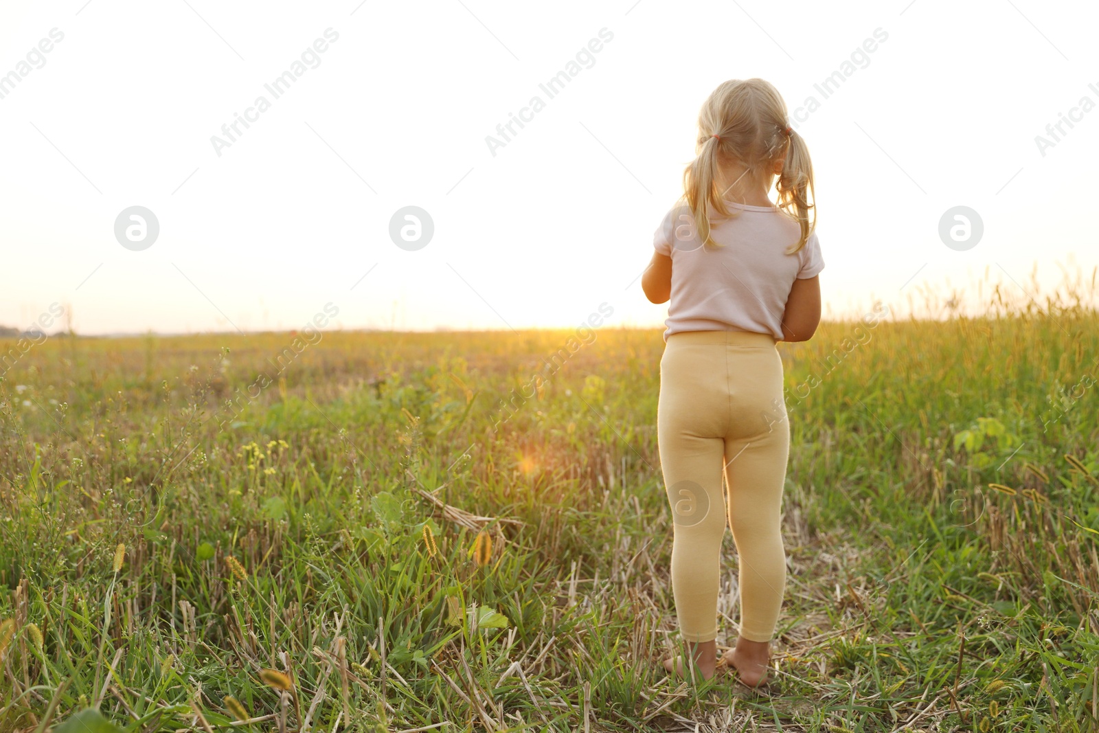 Photo of Cute little girl outdoors at sunset, back view. Child enjoying beautiful nature