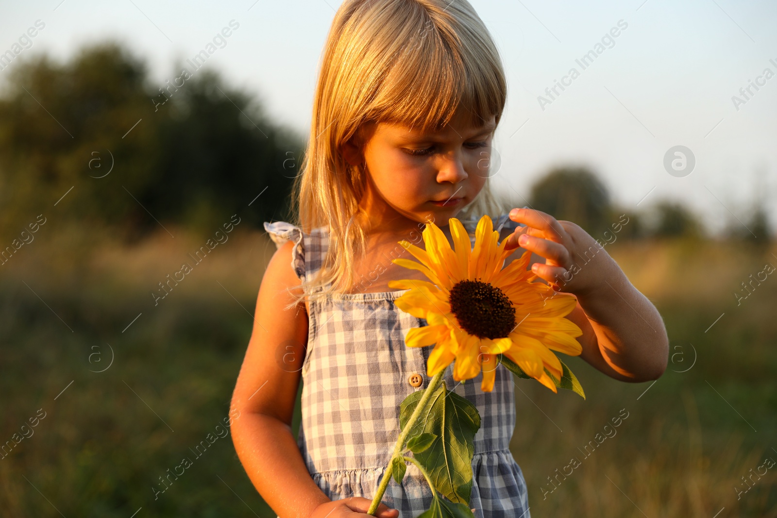 Photo of Little girl with sunflower at meadow. Child enjoying beautiful nature