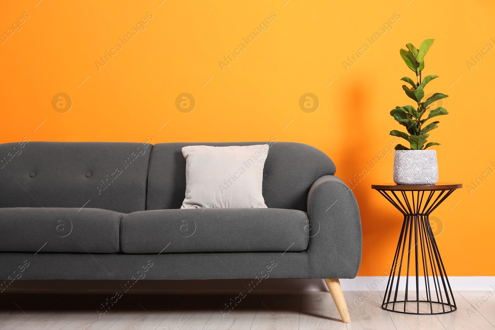 Photo of Stylish sofa, pillow and side table with houseplant near orange wall indoors