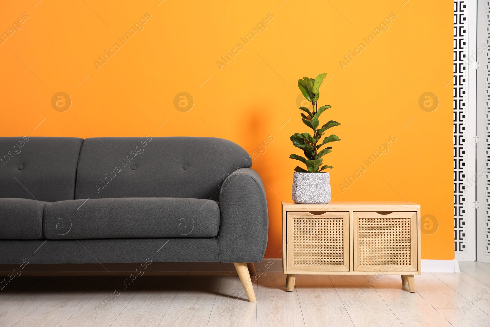 Photo of Stylish sofa and storage cabinet with houseplant near orange wall indoors