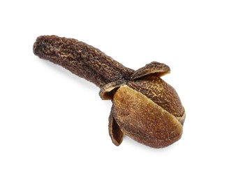 Aromatic spice. Dry clove bud isolated on white