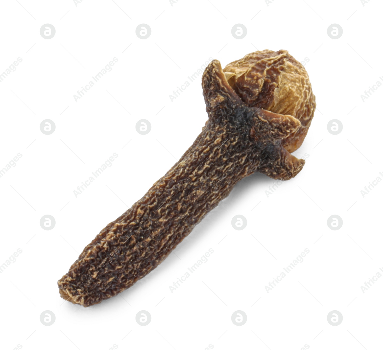 Photo of Aromatic spice. Dry clove bud isolated on white