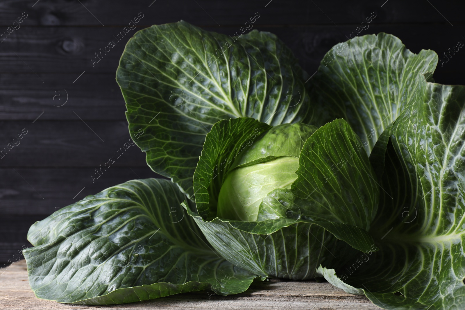 Photo of One ripe head of cabbage on wooden table, closeup