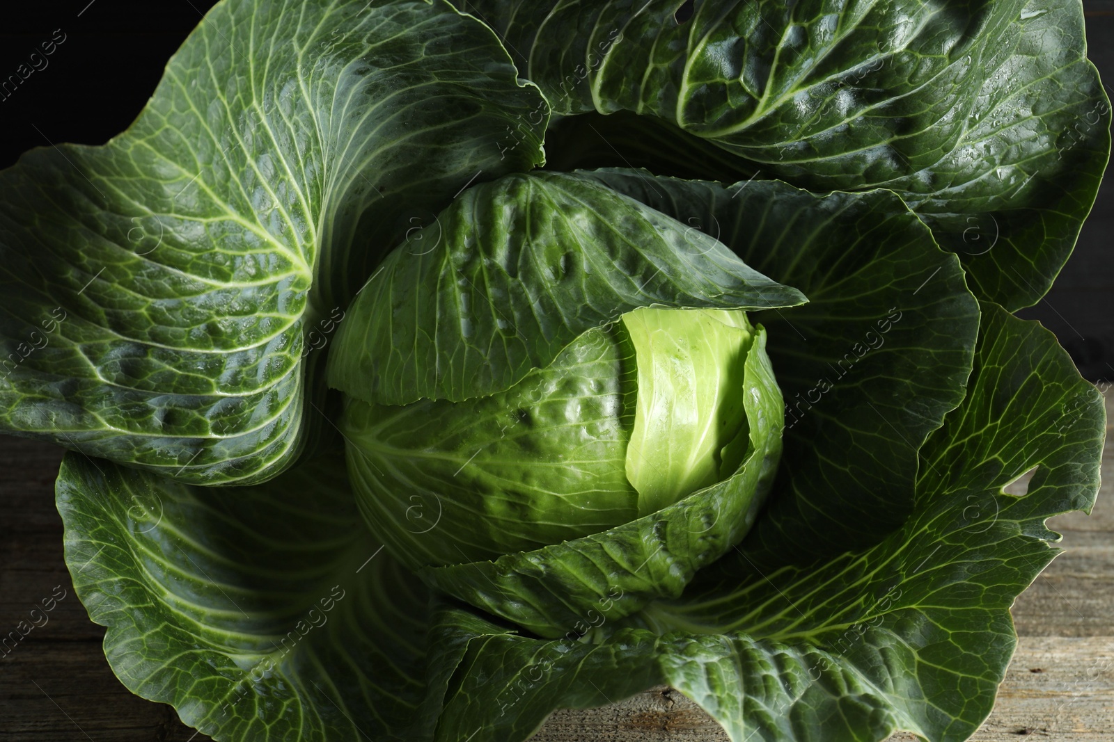 Photo of One ripe head of cabbage on wooden table, closeup