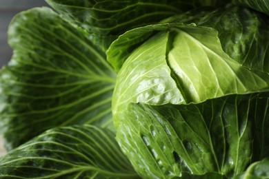 Photo of One ripe head of cabbage as background, closeup