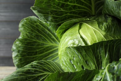 Photo of One ripe head of cabbage, closeup view