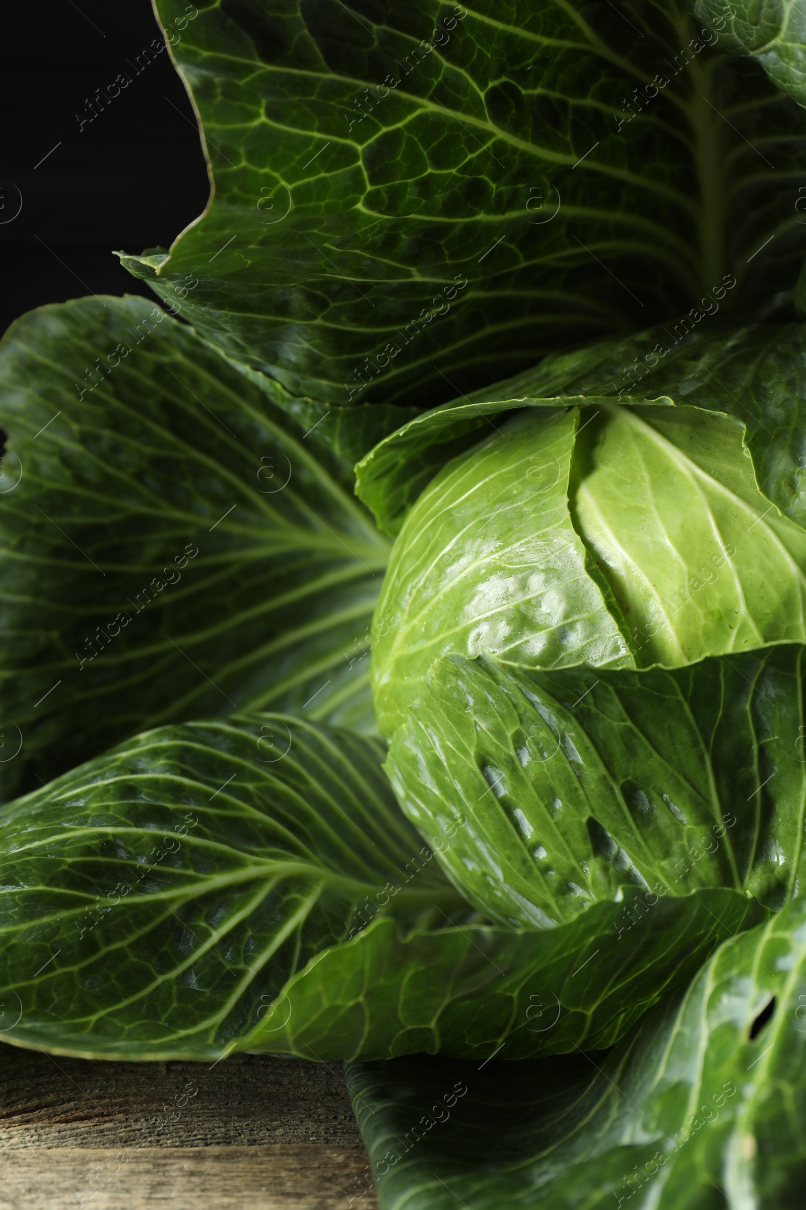 Photo of One ripe head of cabbage on wooden table, closeup