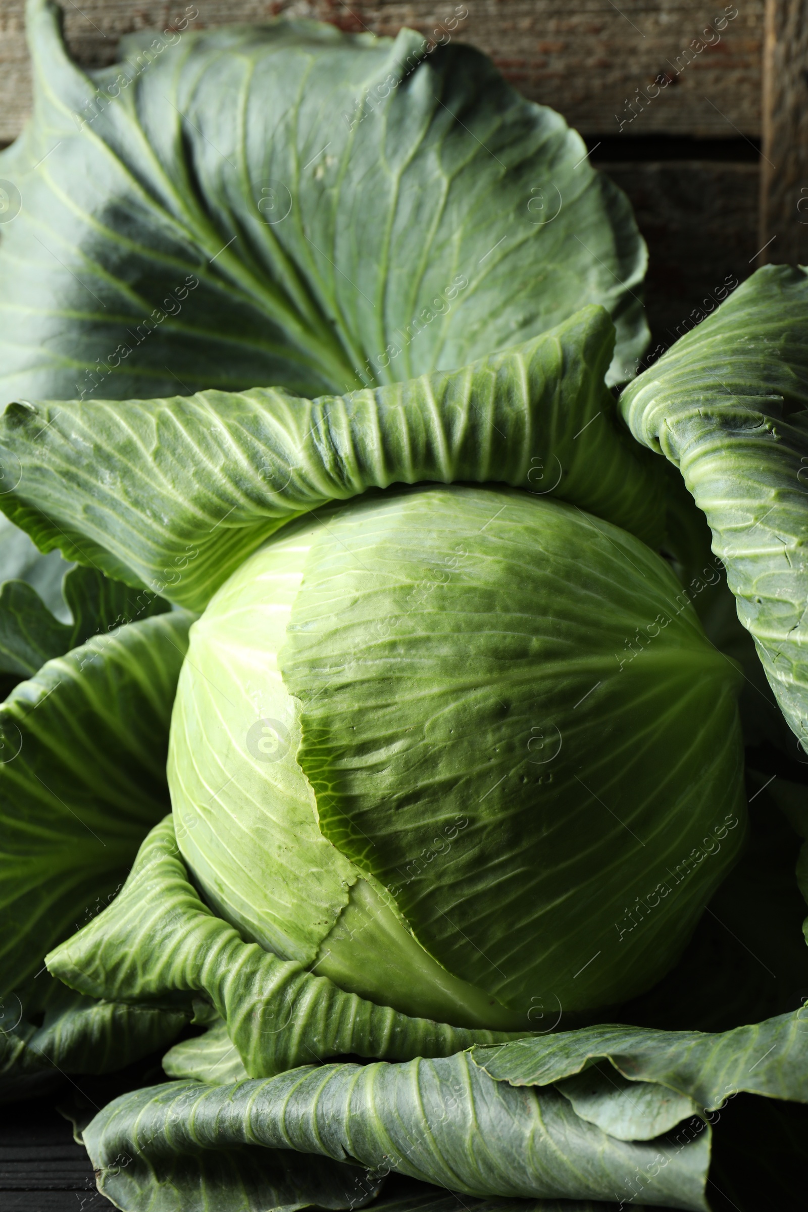 Photo of One ripe head of cabbage on wooden background, closeup