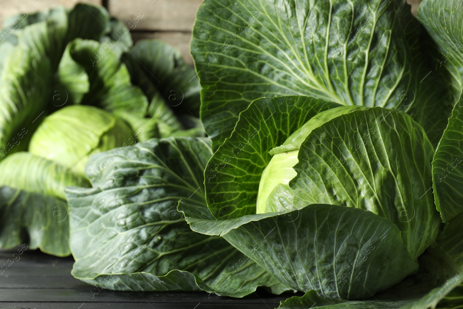 Photo of Ripe cabbages on black wooden table, closeup