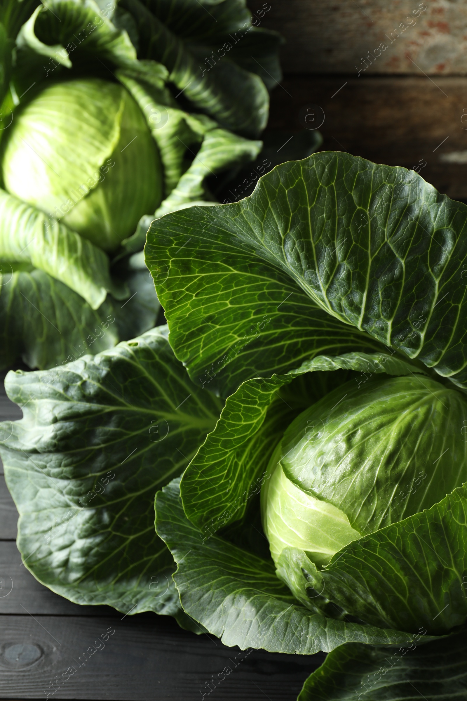 Photo of Ripe cabbages on black wooden table, closeup