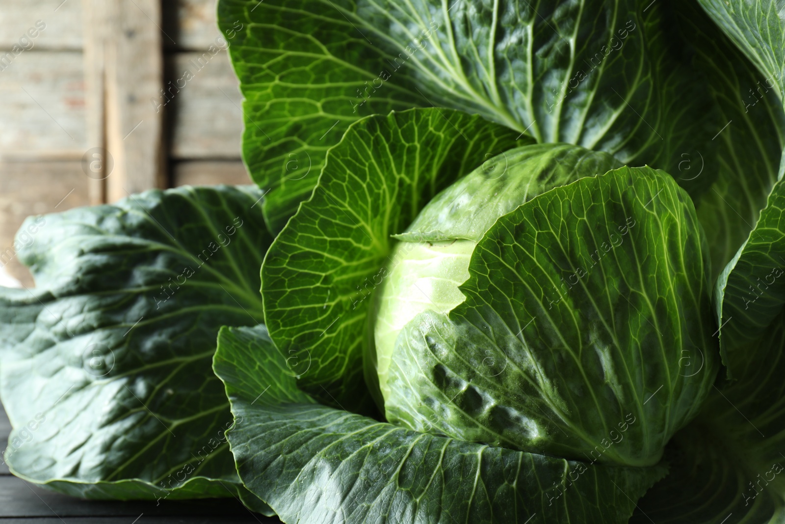 Photo of One ripe head of cabbage on black wooden table, closeup