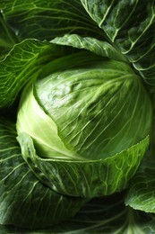 Photo of One ripe head of cabbage as background, closeup