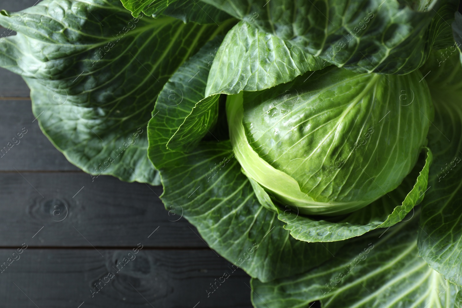 Photo of One ripe head of cabbage on black wooden table, top view