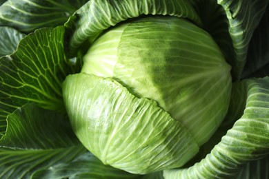 Photo of One ripe head of cabbage as background, closeup