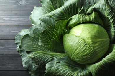 Photo of One ripe head of cabbage on black wooden table, top view