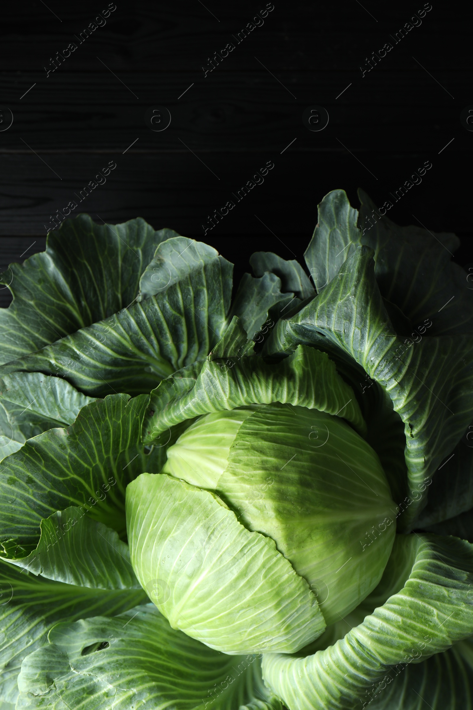 Photo of One ripe head of cabbage on black wooden table, top view