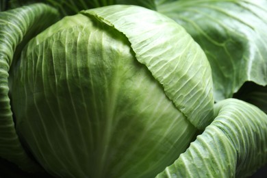 Photo of One ripe head of cabbage as background, closeup