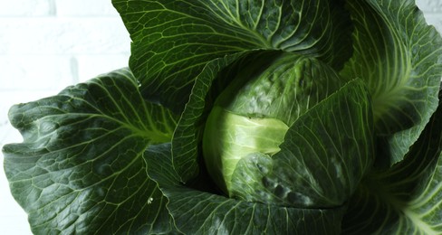 Photo of One ripe head of cabbage on white wooden table, closeup