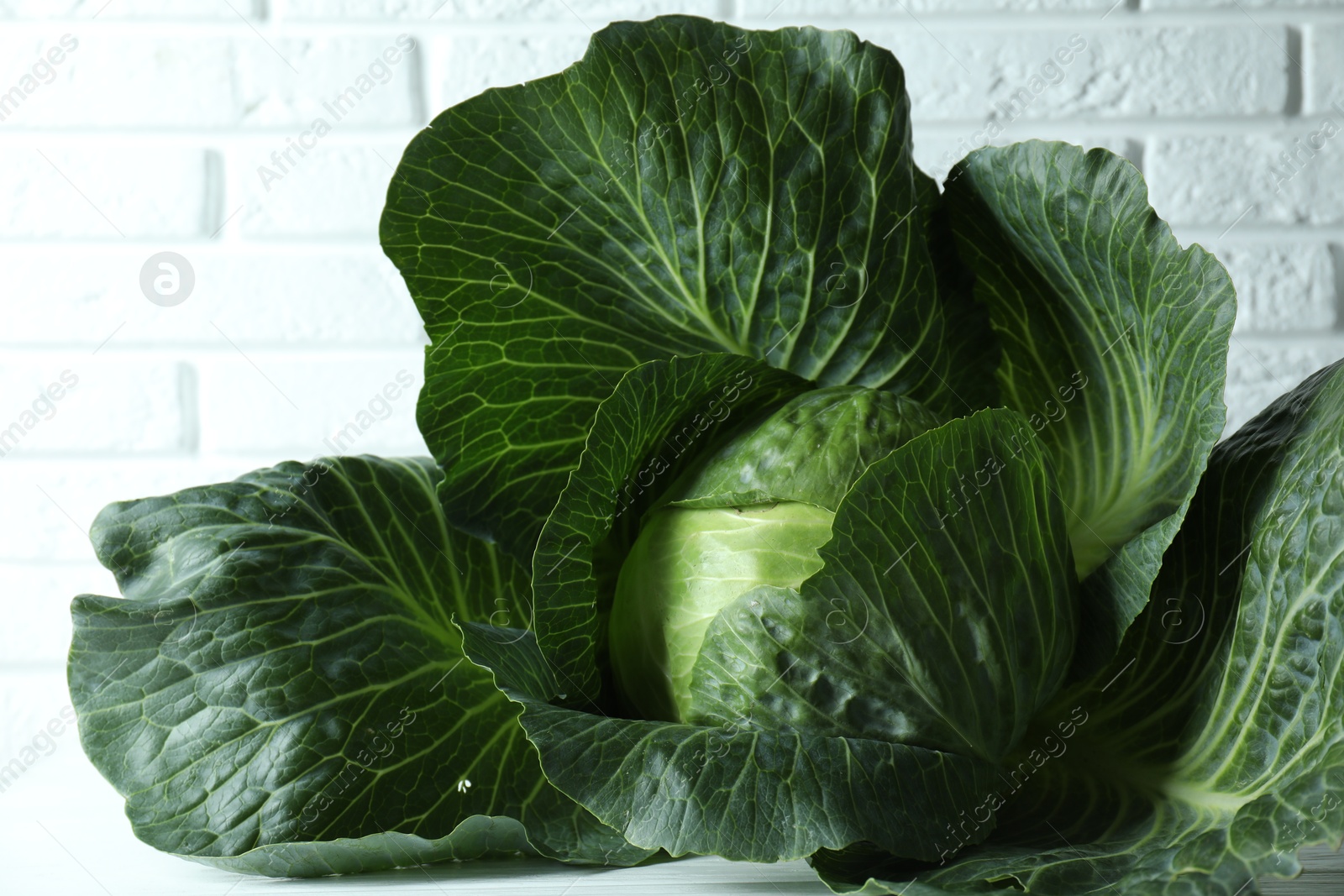 Photo of One ripe head of cabbage on white wooden table, closeup