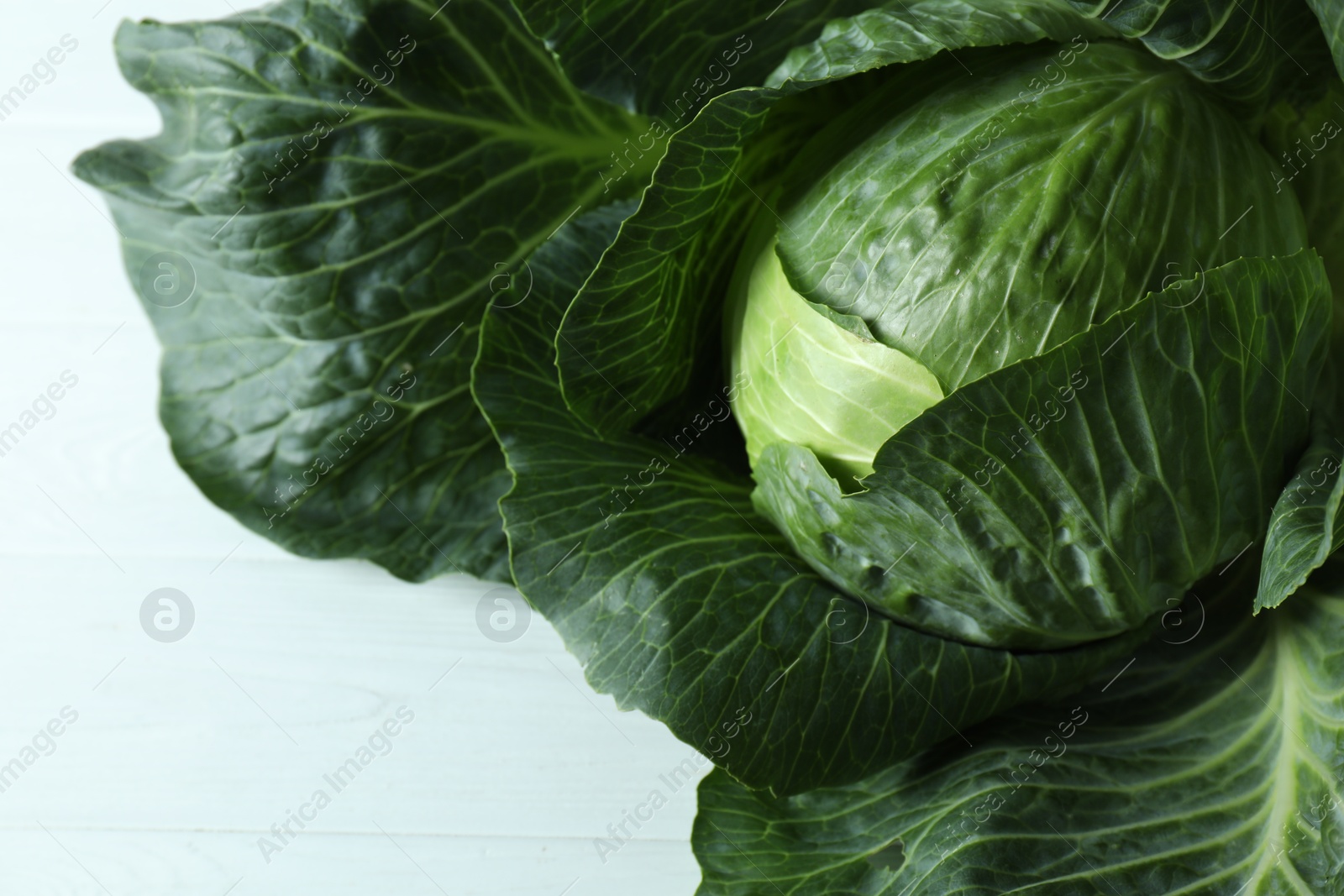 Photo of One ripe head of cabbage on white wooden table, top view