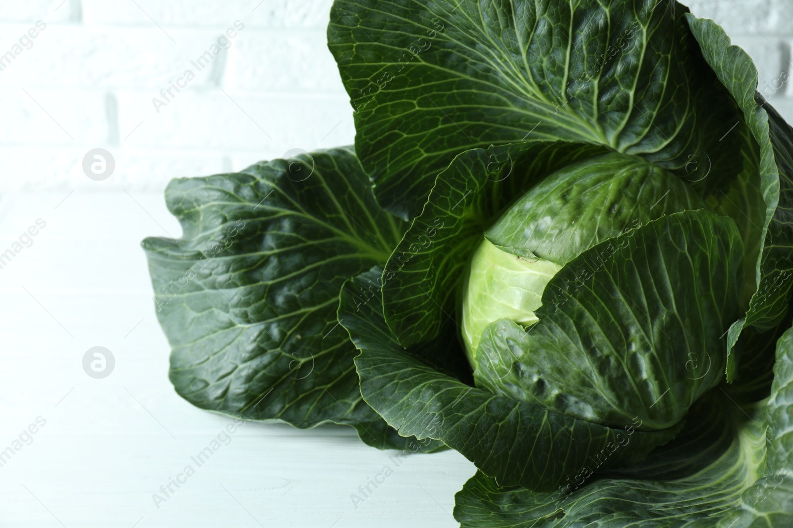 Photo of One ripe head of cabbage on white wooden table, closeup