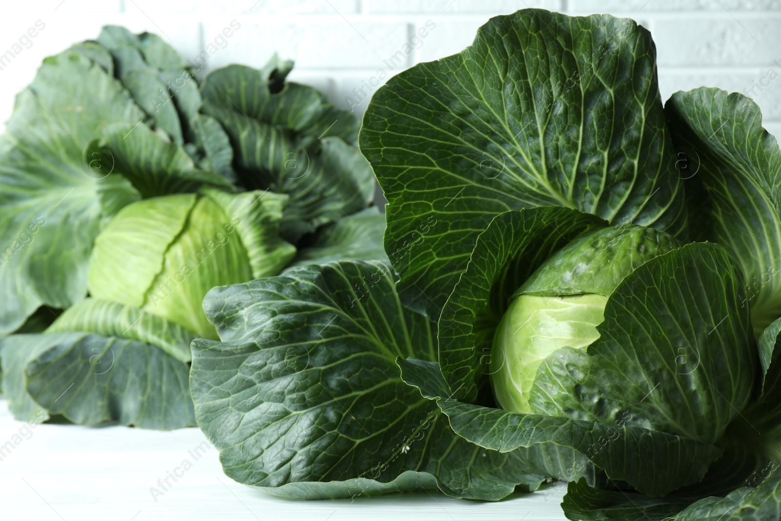 Photo of Ripe heads of cabbages on white table, closeup