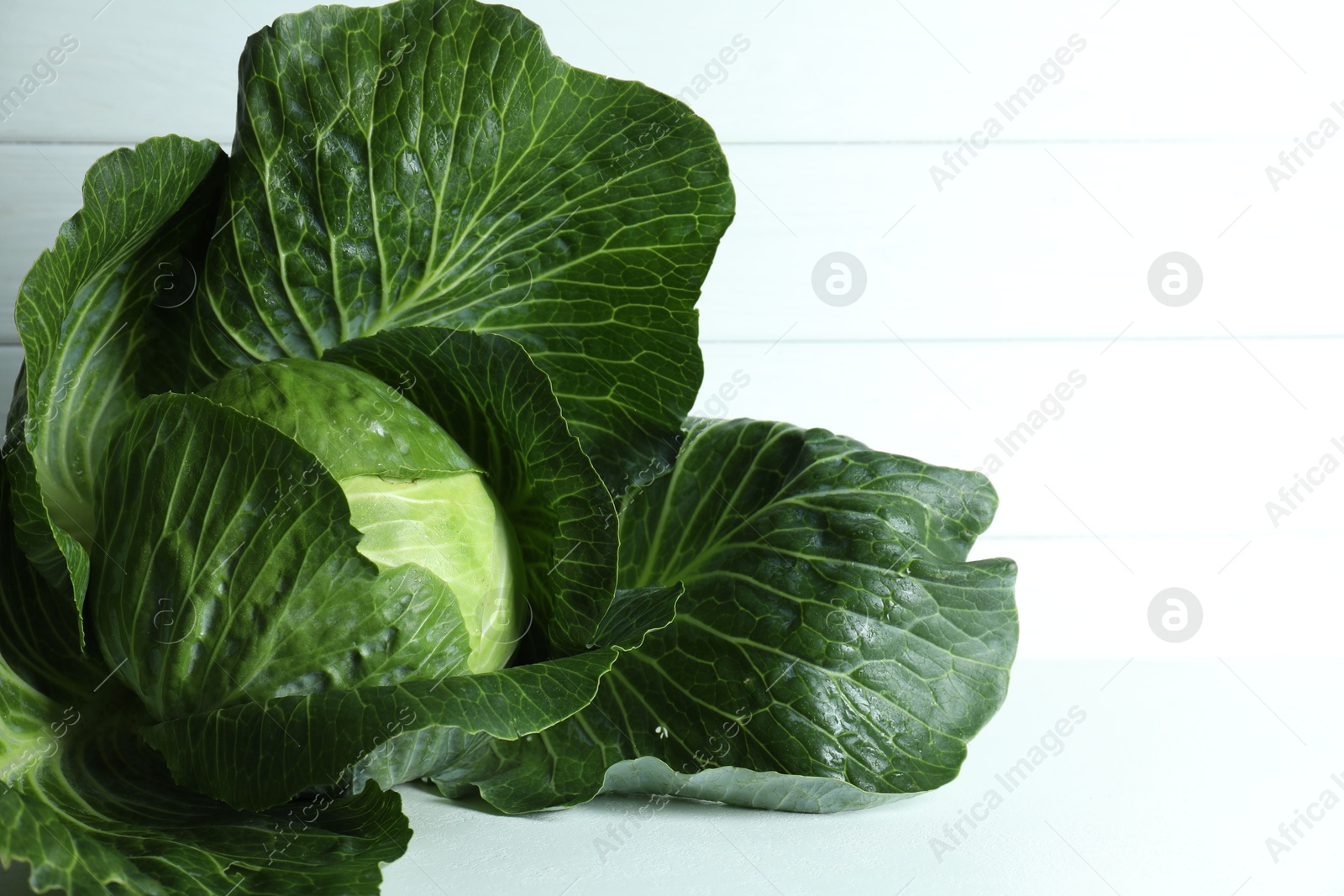 Photo of One ripe head of cabbage on white table, closeup. Space for text