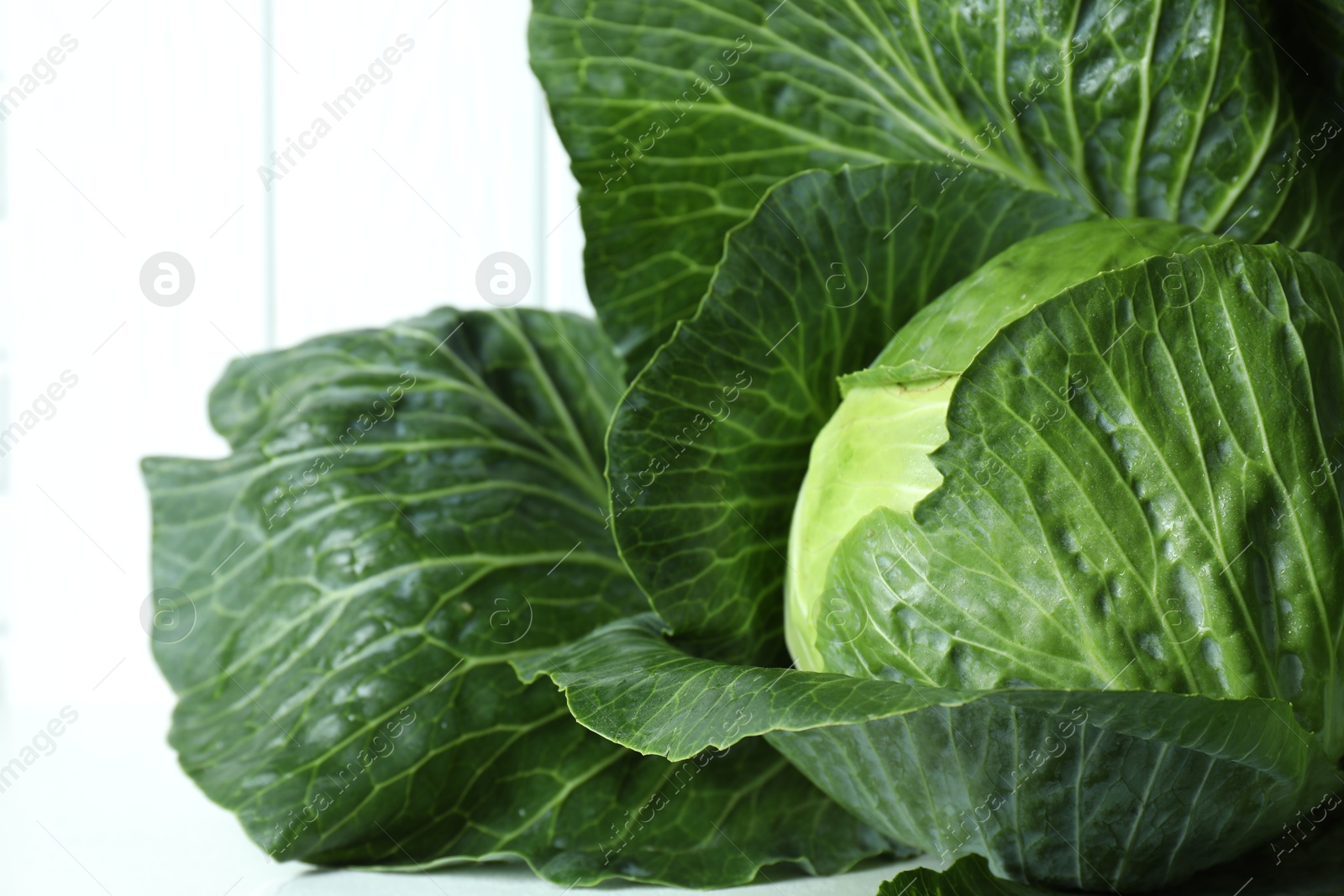 Photo of One ripe head of cabbage on white table, closeup