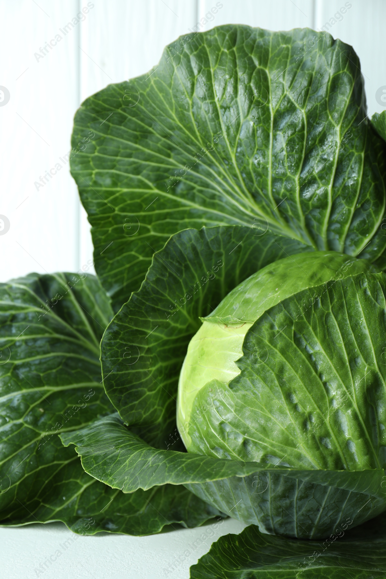 Photo of One ripe head of cabbage on white table, closeup