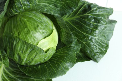 Photo of One ripe head of cabbage on white table, closeup