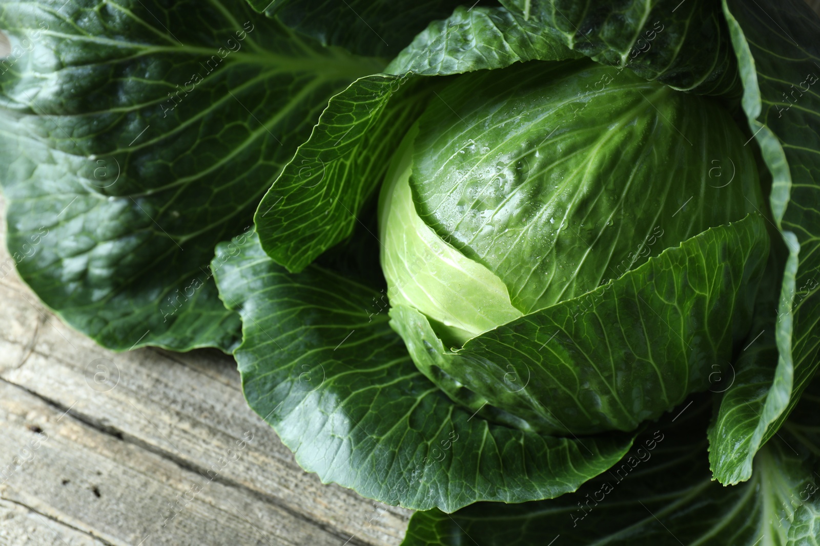 Photo of One ripe head of cabbage on wooden table